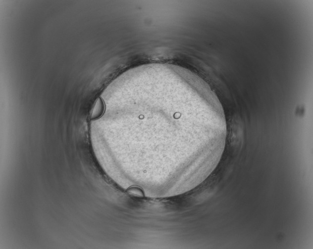 X0000111600523200908061417