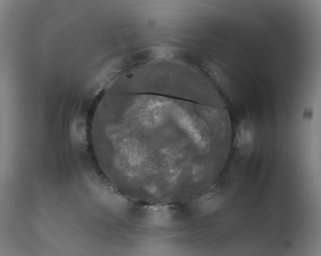 X0000111600524200908061417