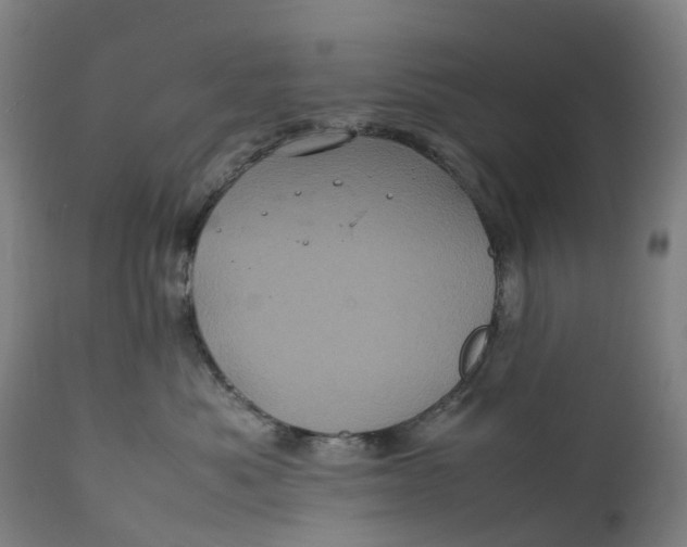 X0000111600525200908061417