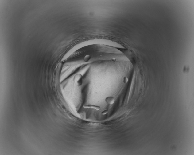 X0000111600528200908061417