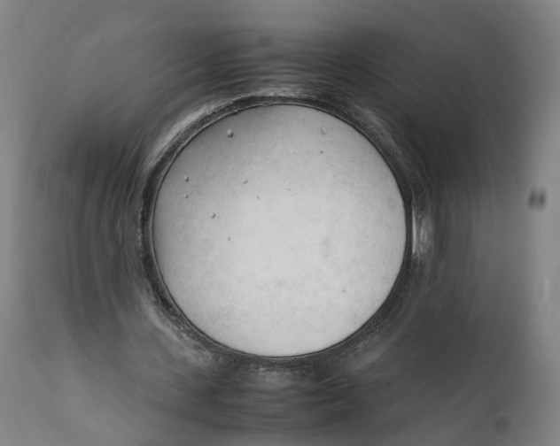 X0000111600531200908061416