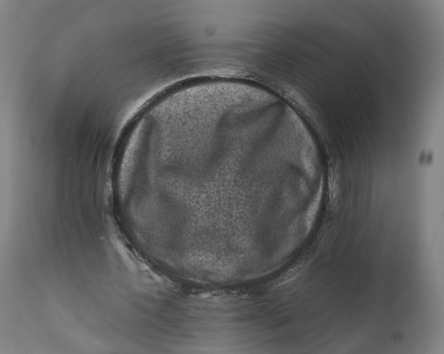 X0000111600532200908061416