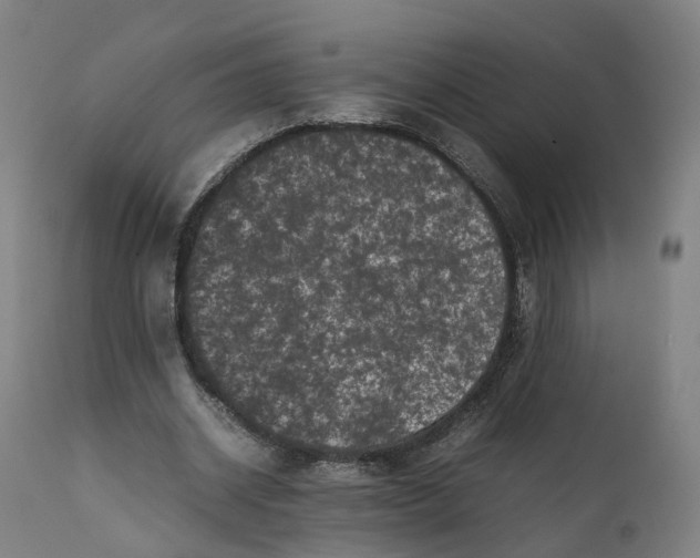 X0000111600534200908061416