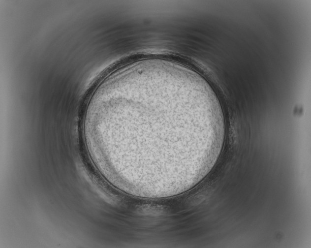 X0000111600535200908061416