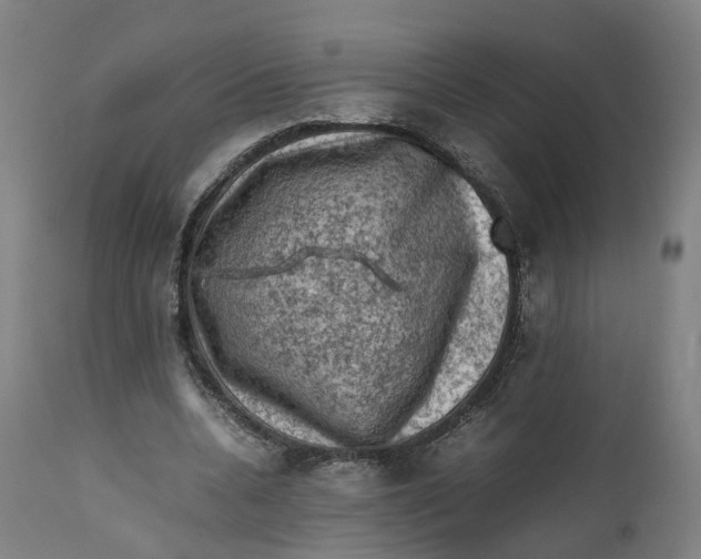 X0000111600536200908061416