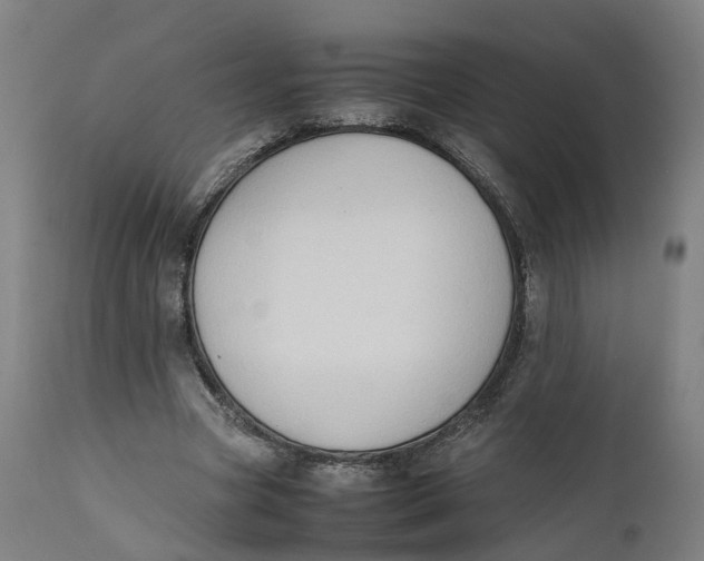X0000111600537200908061416