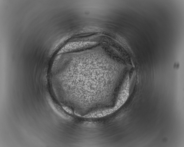 X0000111600538200908061416