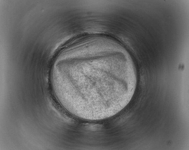 X0000111600539200908061416
