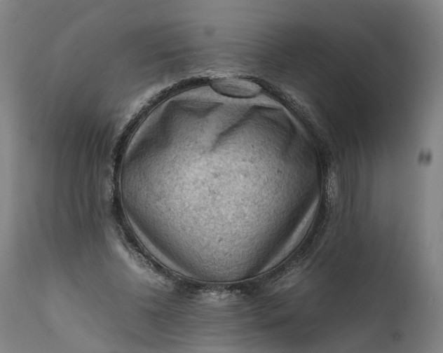 X0000111600540200908061416