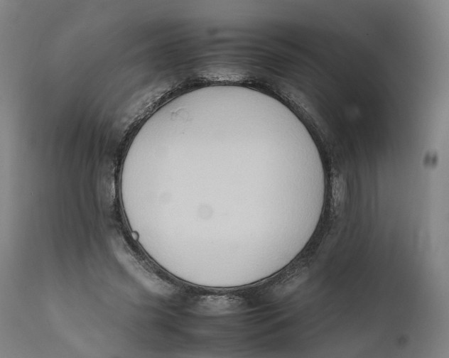 X0000111600541200908061416