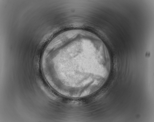 X0000111600542200908061416
