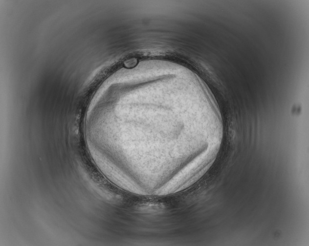 X0000111600543200908061416