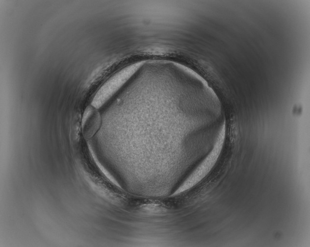 X0000111600544200908061416