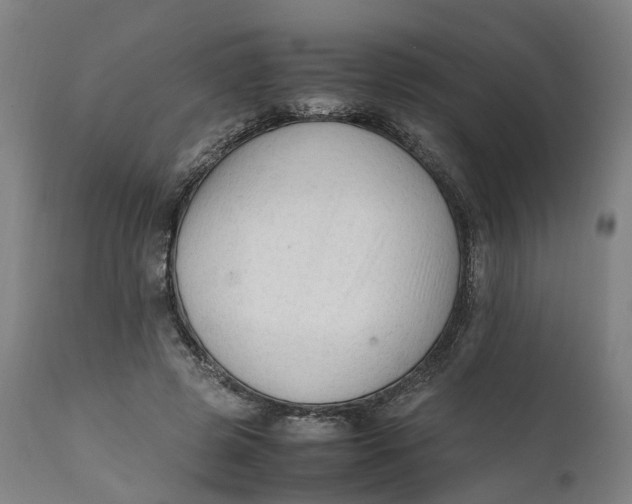 X0000111600545200908061416