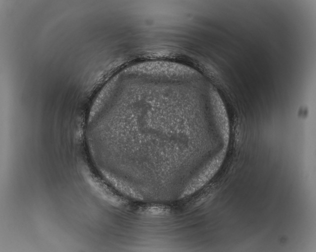 X0000111600546200908061416