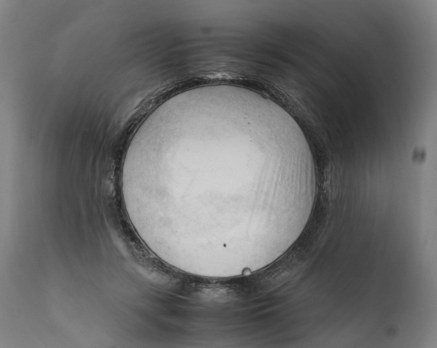 X0000111600547200908061416