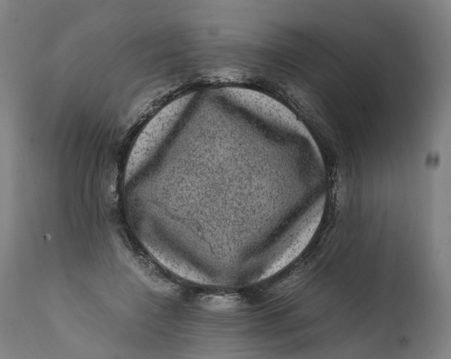 X0000111600548200908061416