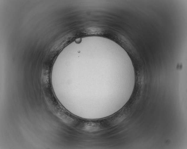X0000111600549200908061416