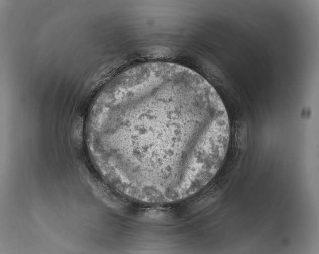 X0000111600550200908061416