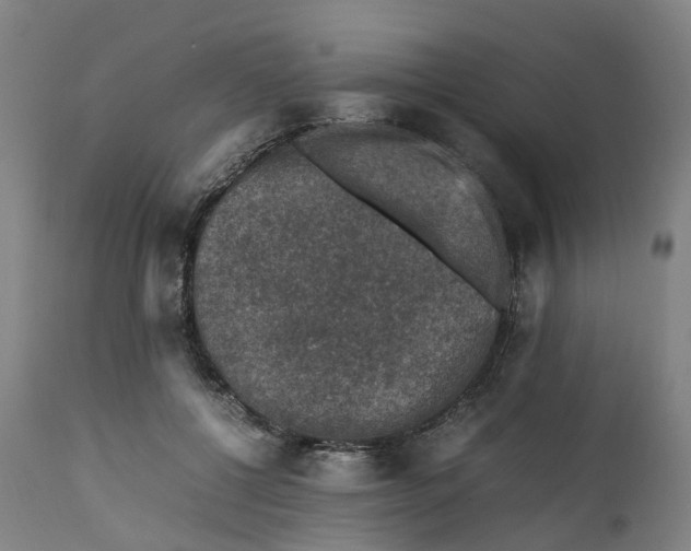 X0000111600552200908061416