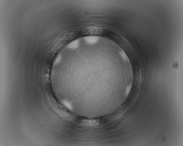 X0000111600553200908061416