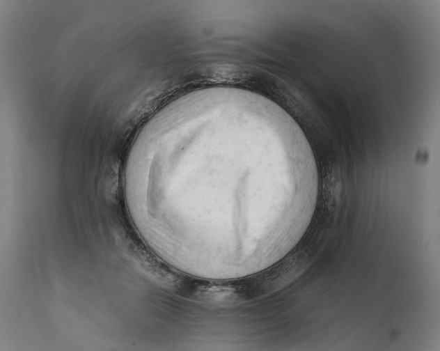 X0000111600554200908061417