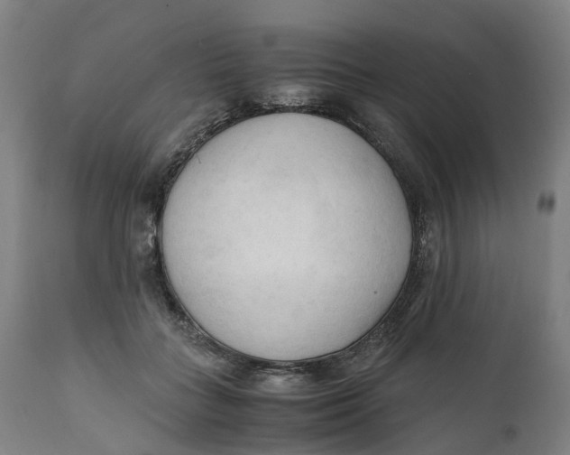 X0000111600555200908061417