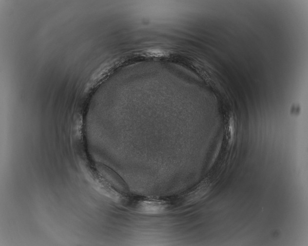 X0000111600556200908061417