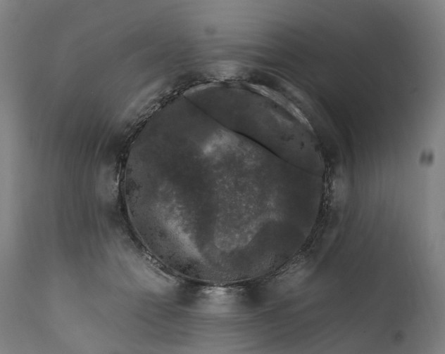 X0000111600558200908061417