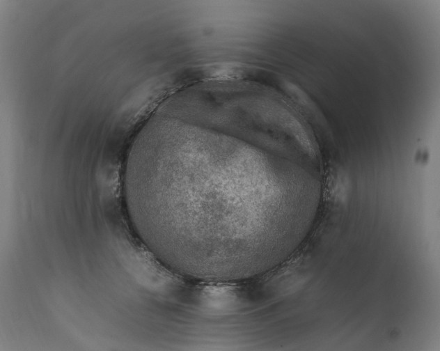 X0000111600560200908061417