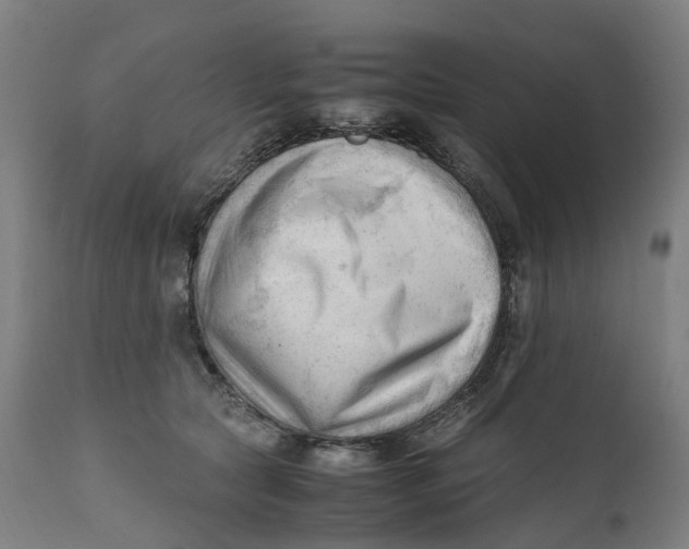 X0000111600561200908061417