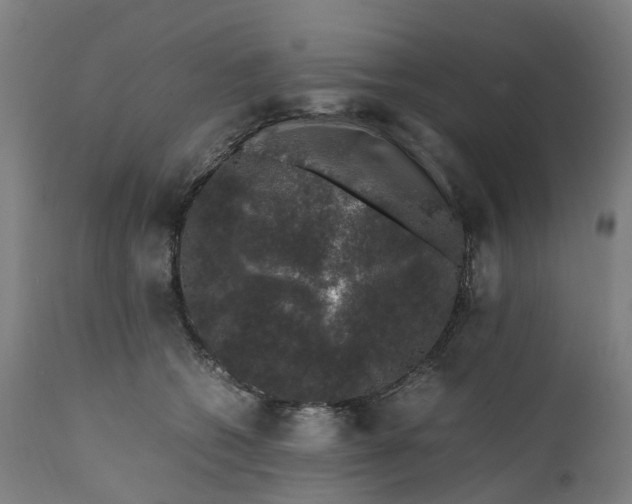 X0000111600562200908061417