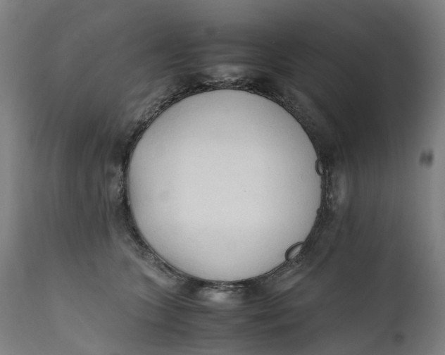 X0000111600563200908061417