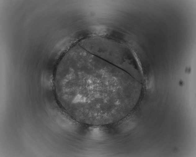 X0000111600564200908061417