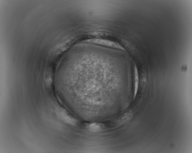X0000111600566200908061417