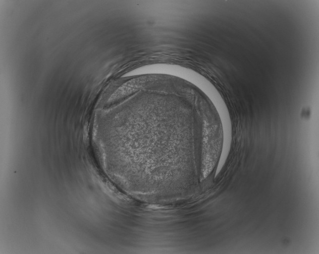 X0000111600568200908061417