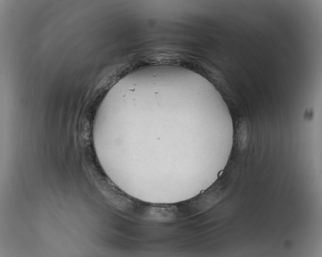 X0000111600571200908061417