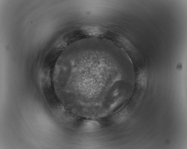 X0000111600572200908061417
