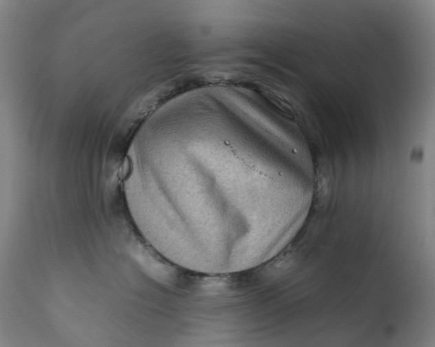 X0000111600574200908061417