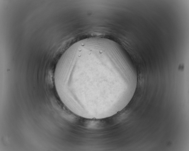 X0000111600575200908061417