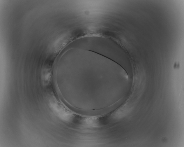 X0000111600576200908061417