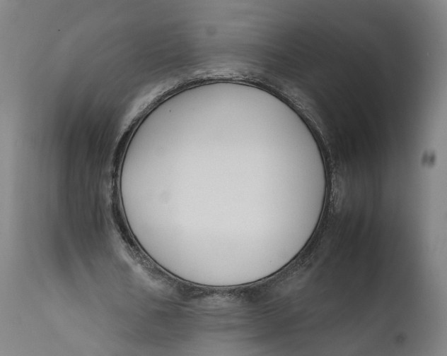 X0000111600578200908061416