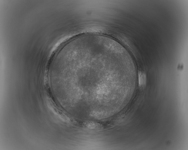 X0000111600579200908061416