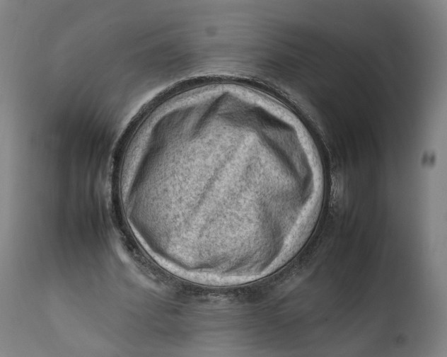 X0000111600580200908061416