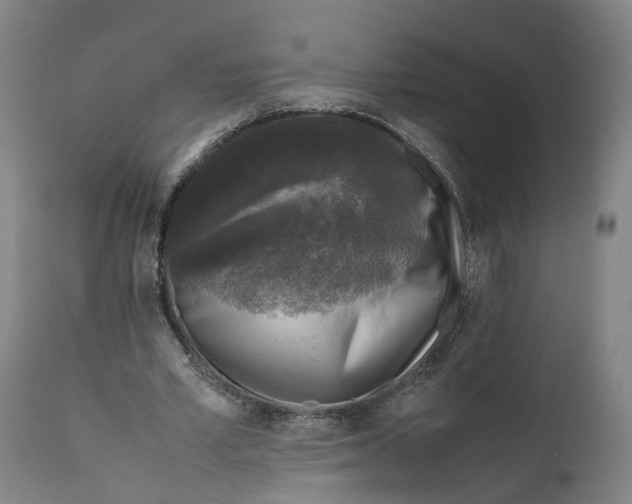 X0000111600581200908061416