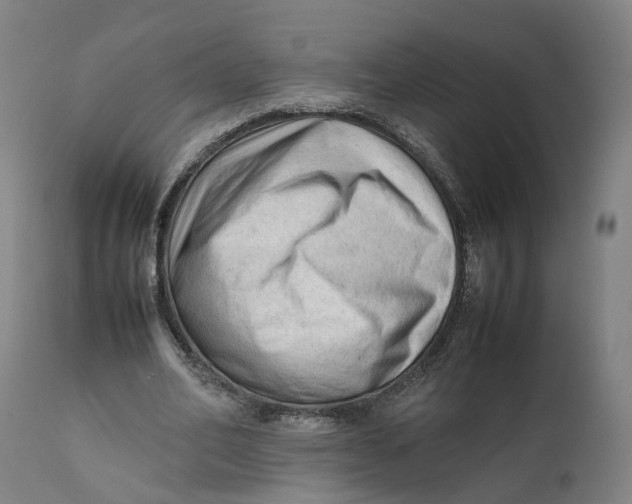 X0000111600582200908061416