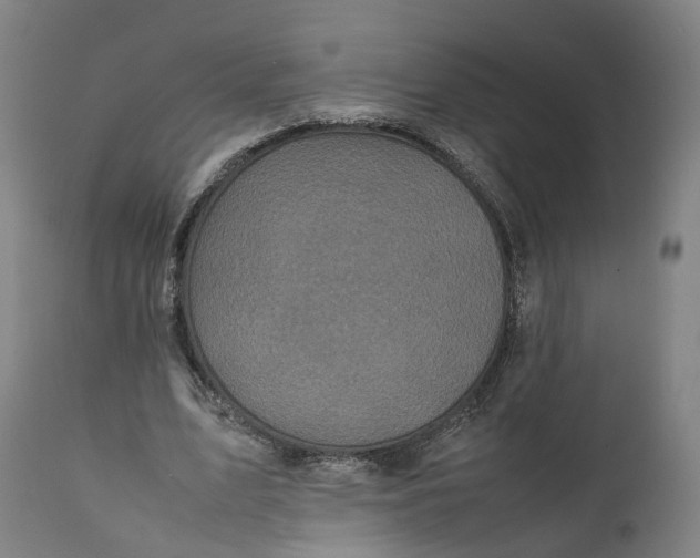 X0000111600583200908061416