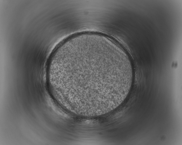 X0000111600584200908061416
