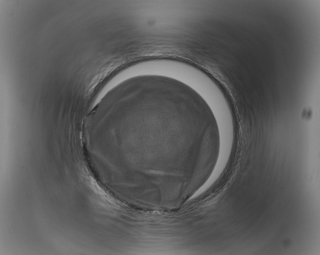 X0000111600585200908061416