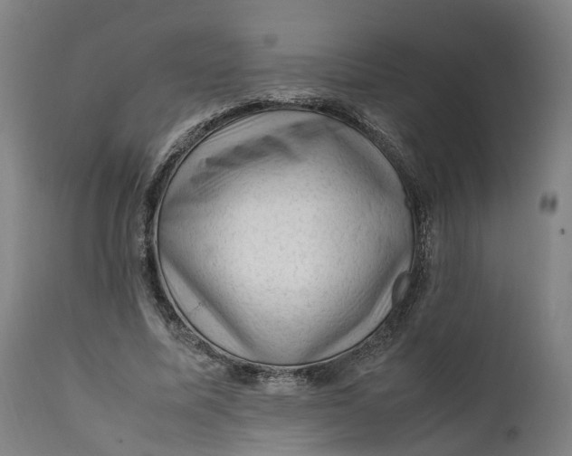 X0000111600587200908061416